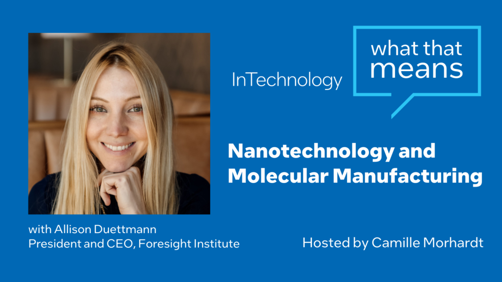 Allison Duettmann nanotechnology molecular manufacturing neurotechnology